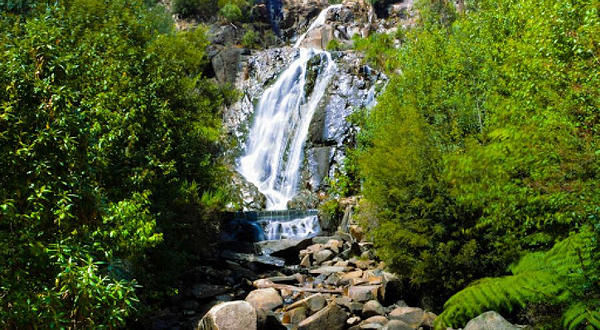 Steavenson Falls Reserve