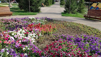 Skver Alii Moldagulovoy