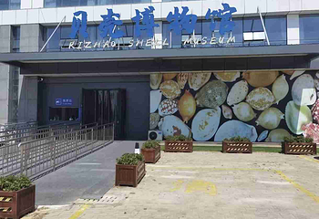 青岛贝壳博物馆第 8 张图片