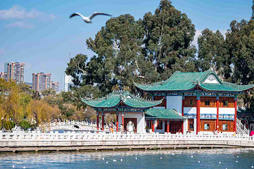 大观公园第 13 张图片