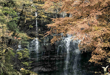黎坪森林公园第 13 张图片