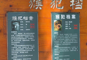 南湾猴岛生态旅游区第 118 张图片