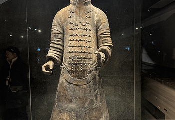 秦始皇帝陵博物院(兵马俑)第 192 张图片