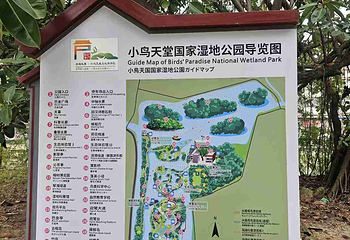 小鸟天堂第 31 张图片