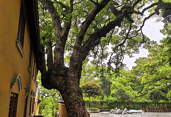 普陀山风景区第 280 张图片