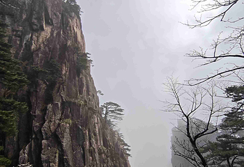 黄山风景区第 442 张图片