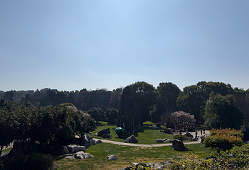 石林风景区第 244 张图片
