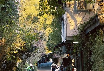 十全街第 83 张图片