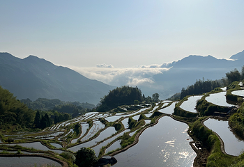 云和梯田景区第 71 张图片