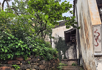 婺源篁岭景区第 279 张图片
