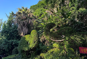象鼻山景区第 95 张图片
