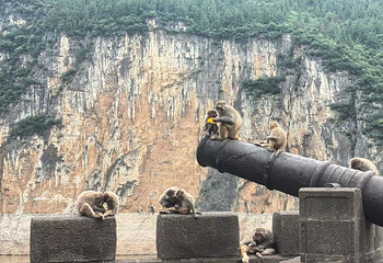白帝城·瞿塘峡景区第 43 张图片