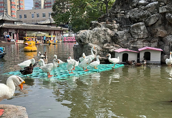 团结湖公园第 53 张图片