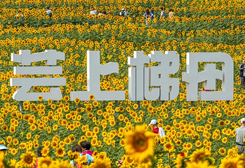 北京温榆河公园第 10 张图片