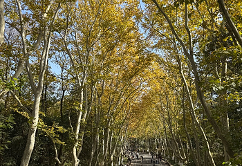 钟山风景名胜区第 165 张图片