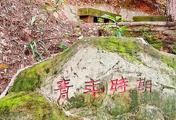 歌乐山国家森林公园第 82 张图片