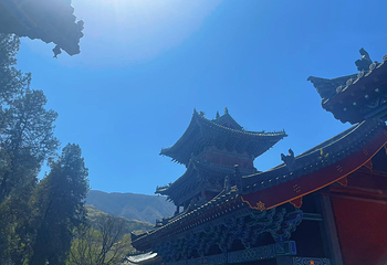 嵩山少林景区第 187 张图片