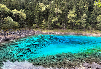九寨沟风景区第 352 张图片