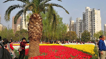 大宁公园罗马广场