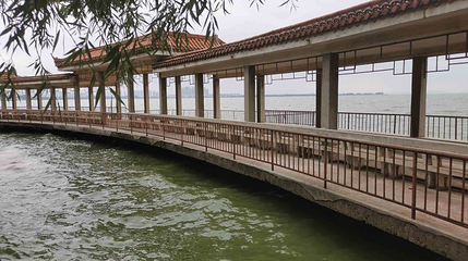 海埂公园-观海长廊第 1 张图片