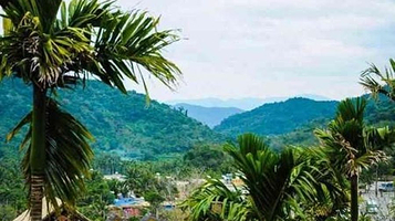 甘什岭森林公园