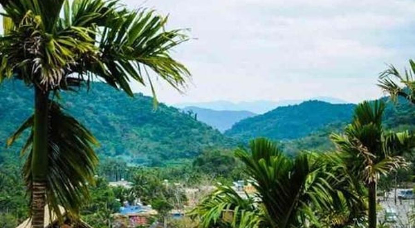 甘什岭森林公园