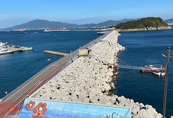 梧桐岛第 5 张图片