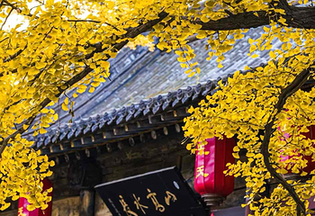 晋祠博物馆第 77 张图片