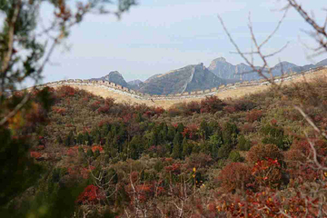 北京西山国家森林公园第 27 张图片