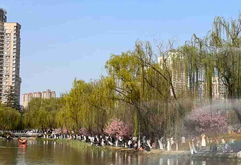 兴庆宫公园第 157 张图片