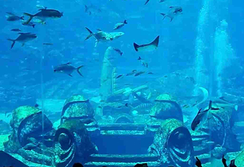 三亚亚特兰蒂斯失落的空间水族馆第 211 张图片
