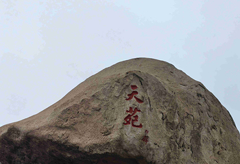崂山风景区第 166 张图片