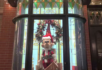 华特迪士尼世界第 165 张图片