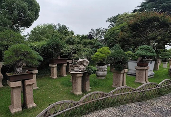 苏州博物馆第 387 张图片