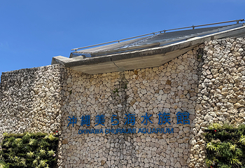 冲绳美丽海水族馆第 43 张图片
