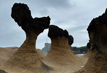 野柳地质公园第 78 张图片