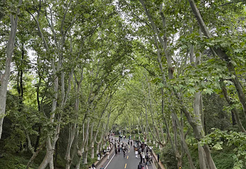 钟山风景名胜区第 169 张图片