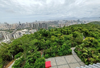 临春岭森林公园第 27 张图片