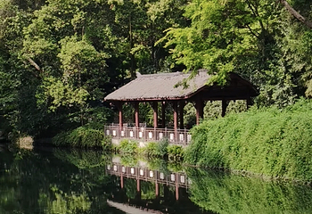 浣花溪公园第 67 张图片