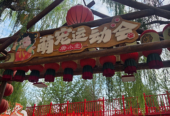 河头老街第 298 张图片