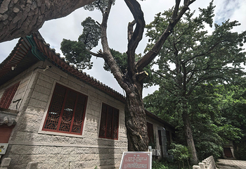 崂山风景区第 218 张图片