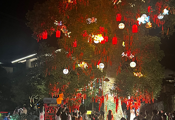 葛仙村度假区第 149 张图片