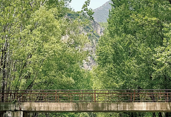 百里山水画廊第 76 张图片