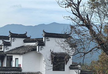 宏村景区第 553 张图片