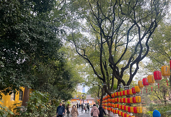 金山第 91 张图片
