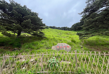 黄山风景区第 206 张图片