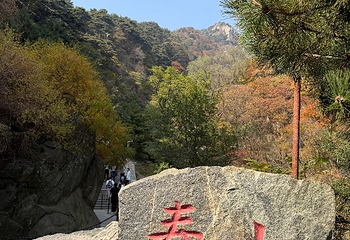 泰山风景区第 231 张图片