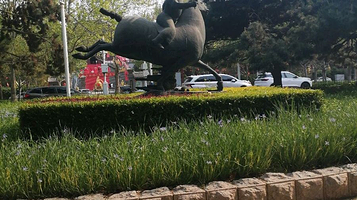 奥林匹克公园-马球