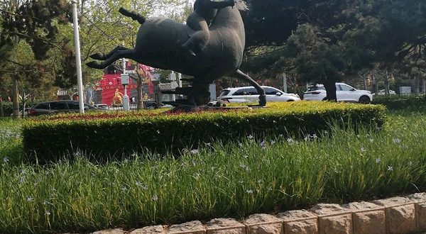 奥林匹克公园-马球