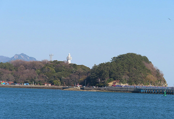 梧桐岛第 13 张图片